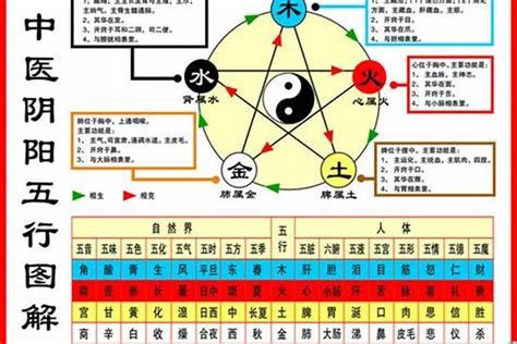 1984年是什么命|1984年出生属什么生肖 1984年属鼠是什么命